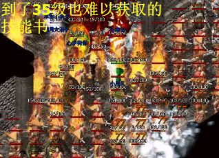 到了35级也难以获取的技能书