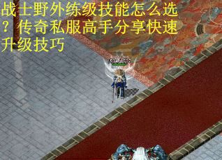 战士野外练级技能怎么选？传奇私服高手分享快速升级技巧