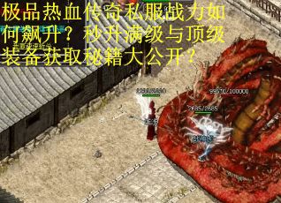 极品热血传奇私服战力如何飙升？秒升满级与顶级装备获取秘籍大公开？