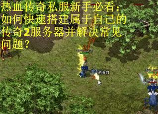 热血传奇私服新手必看：如何快速搭建属于自己的传奇2服务器并解决常见问题？