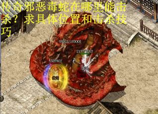 传奇邪恶毒蛇在哪里能击杀？求具体位置和击杀技巧