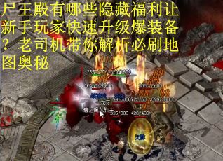 尸王殿有哪些隐藏福利让新手玩家快速升级爆装备？老司机带你解析必刷地图奥秘