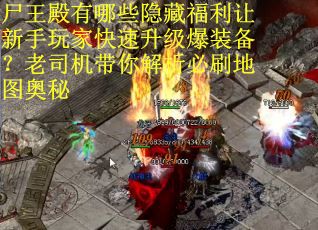 尸王殿有哪些隐藏福利让新手玩家快速升级爆装备？老司机带你解析必刷地图奥秘