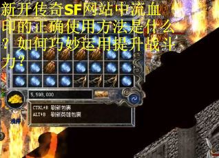 新开传奇SF网站中流血印的正确使用方法是什么？如何巧妙运用提升战斗力？