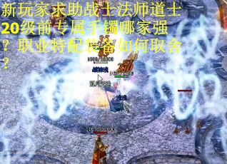 新玩家求助战士法师道士20级前专属手镯哪家强？职业特配装备如何取舍？