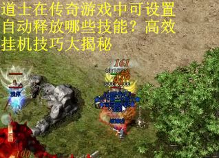 道士在传奇游戏中可设置自动释放哪些技能？高效挂机技巧大揭秘