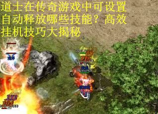 道士在传奇游戏中可设置自动释放哪些技能？高效挂机技巧大揭秘