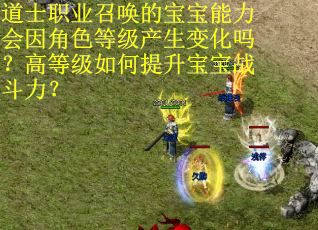 道士职业召唤的宝宝能力会因角色等级产生变化吗？高等级如何提升宝宝战斗力？