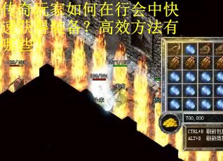 传奇玩家如何在行会中快速获得装备？高效方法有哪些？