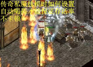 传奇私服挂机时如何设置自动喝药才能保证存活率不卡顿？