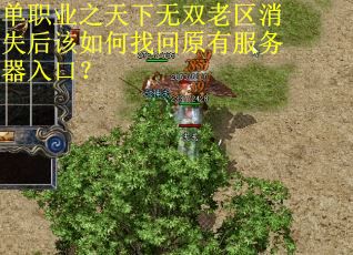 单职业之天下无双老区消失后该如何找回原有服务器入口？