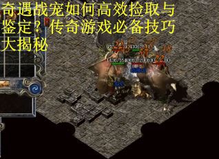 奇遇战宠如何高效捡取与鉴定？传奇游戏必备技巧大揭秘