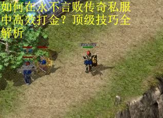 如何在永不言败传奇私服中高效打金？顶级技巧全解析