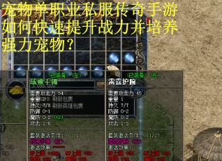 宠物单职业私服传奇手游如何快速提升战力并培养强力宠物？